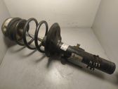 Front shock absorber/damper