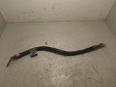 Wires (starter motor)