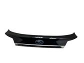 Trunk door license plate light bar