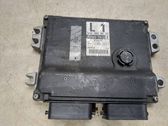 Engine control unit/module