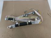 Airbag de toit