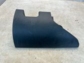 Rear/tail light trim molding