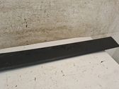 Sliding door trim (molding)
