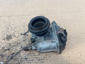 Throttle body valve