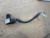 Negative earth cable (battery)