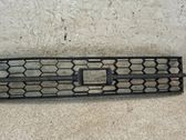 Front bumper lower grill