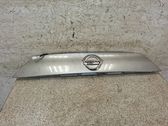 Trunk door license plate light bar