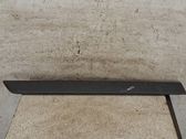 Sliding door trim (molding)
