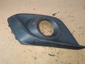 Front fog light trim/grill