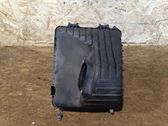 Caja del filtro de aire