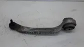 Front lower control arm/wishbone