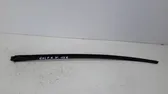 Windshield trim