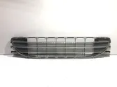 Front bumper lower grill