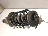 Front shock absorber with coil spring