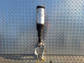 Front shock absorber/damper