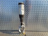 Front shock absorber/damper