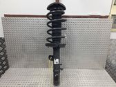 Front shock absorber/damper