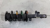 Front shock absorber/damper