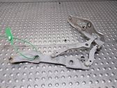 Tailgate/trunk/boot hinge