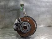 Front wheel hub spindle knuckle