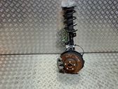 Front wheel hub spindle knuckle