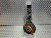 Front shock absorber with coil spring