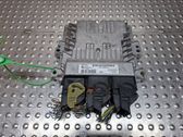 Engine control unit/module ECU