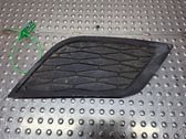 Front fog light trim/grill