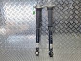 Stoßdämpfer hinten