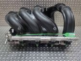 Colector de admisión