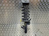 Front shock absorber/damper