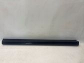 Front door trim (molding)