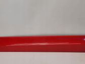 Front door trim (molding)
