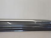 Front door trim (molding)