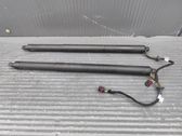 Tailgate/trunk strut/damper