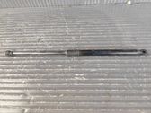 Tailgate strut