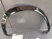Fender trim (molding)