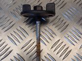 Spare wheel bolt
