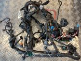 Engine installation wiring loom