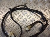 Other wiring loom