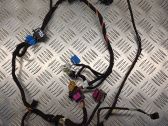 Front door wiring loom