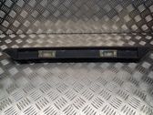 Trunk door license plate light bar