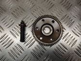 Camshaft pulley/ VANOS
