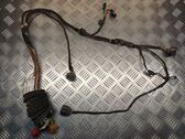 Front door wiring loom
