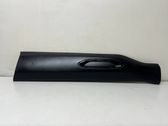Front door trim (molding)
