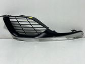 Front fog light trim/grill