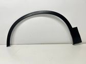 Fender trim (molding)