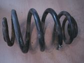 Feder hinten