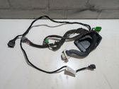Front door wiring loom