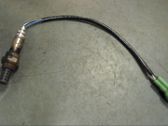 Sonda lambda